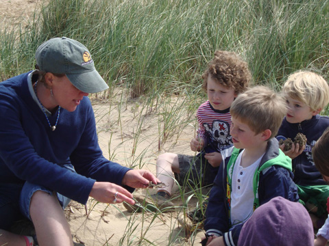 learning and education on the beach